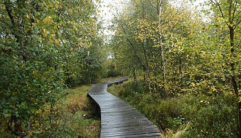 Entre Fagnes et forêts