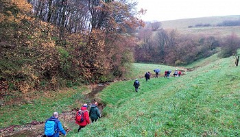 Bilstain et ses paysages bucoliques