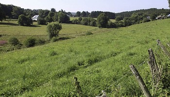 Paysages bucoliques aux portes de l’Eifel