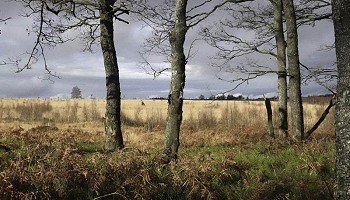 Traversée dans la réserve naturelle