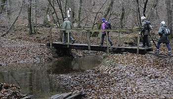 Le bas de l’Hertogenwald, la Lyre et la Croix Noire