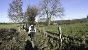 Par monts et par vaux, entre Borchêne et Hoëgne