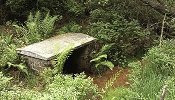 Le Bois d’Averscheid et ses témoins historiques