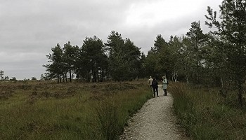 Entre fagne et forêt