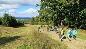 Le long de la Vecquée