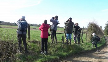 Superbe matinée ornithologique !