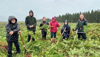 Travaux de gestion dans la Fagne des Deux-Séries