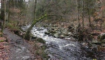 Les cascades de la Hoëgne