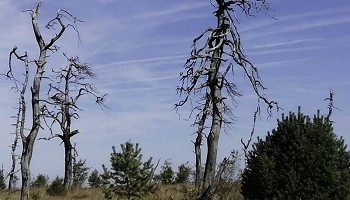 Traversée dans la Réserve naturelle