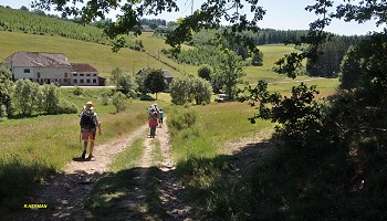 Autour de Neidingen