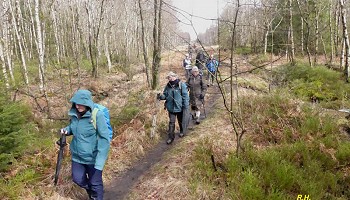 Tour des fagnes de l’Est