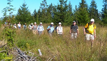 Entre Fagnes et Forêts