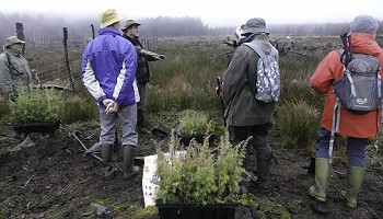 Travaux du 7 décembre 2025