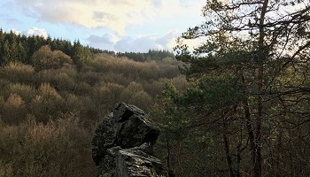 Vallons de la Sawe et de la Statte