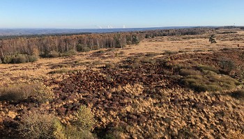 Fagne de Malchamps - Vallée du Roannay