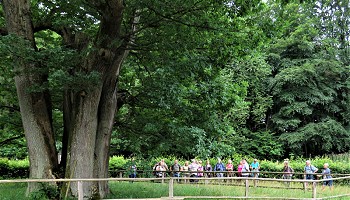 Les bois de Gospinal