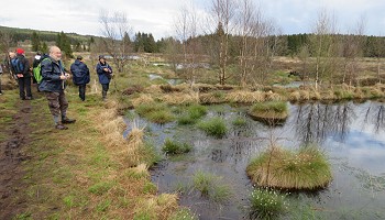 Tour des Fagnes de la Rur