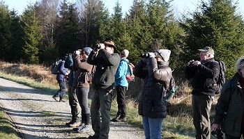 Matinée ornithologique