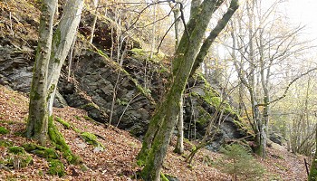 Tour du Bois de Staneux