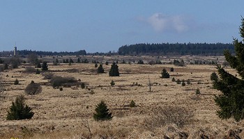 Traversée fagnarde de Botrange à Ternell