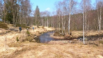 La Helle forestière