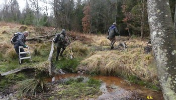 « Les Amis de la Fagne » en action : balade, gestion des réserves…