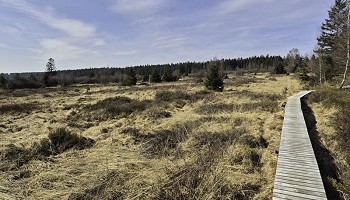 La Fagne du Fraineu et la Fagne de Setay