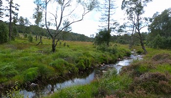 Les grandes rivières fagnardes - La Helle