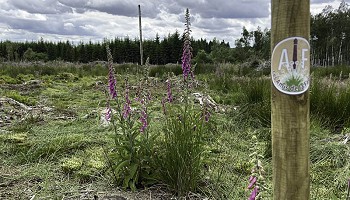 Chantier exceptionnel dans notre réserve de Nampîre